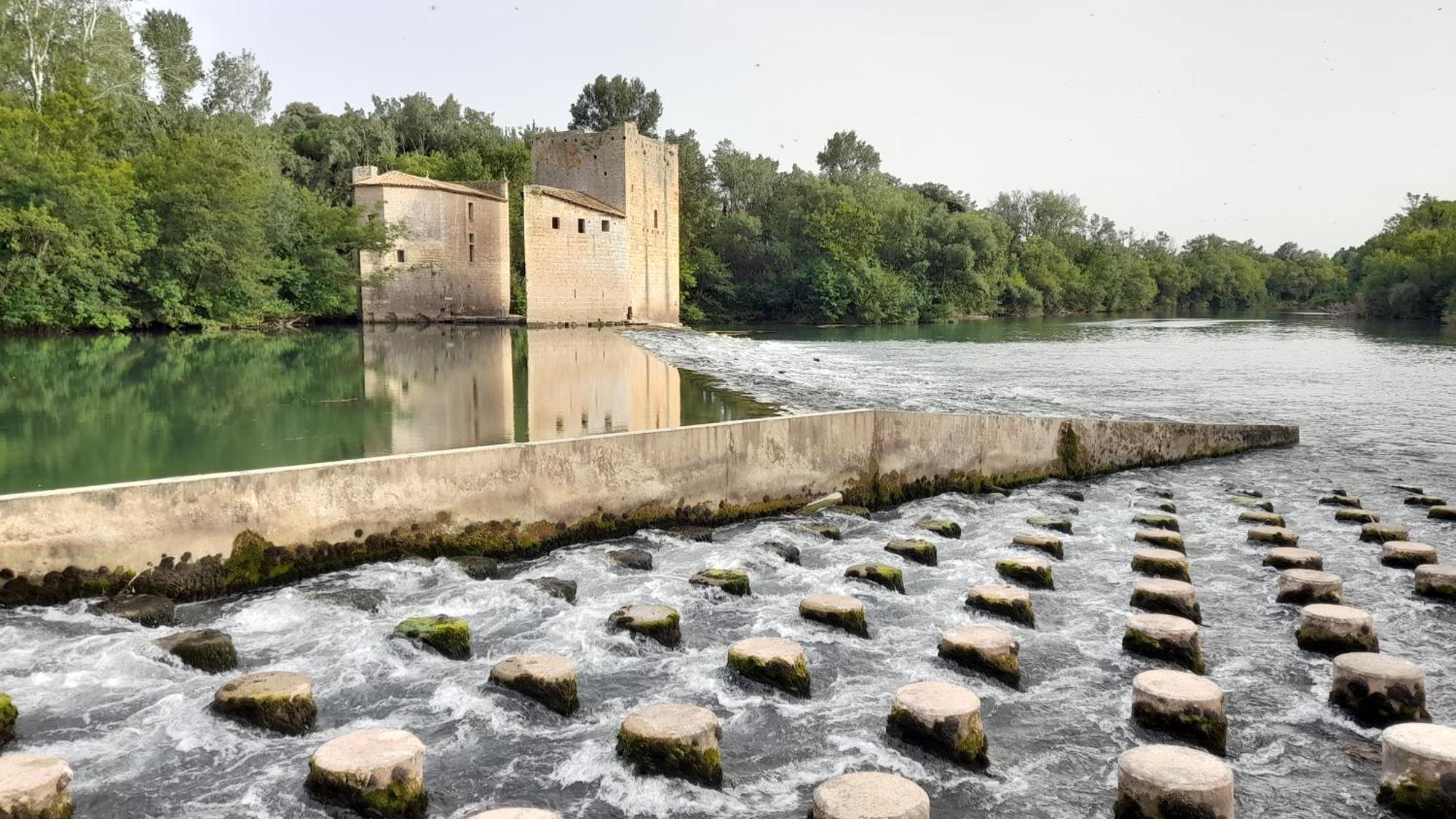 L'Oostaloo Logement De Vacances Usclas-l'Herault Exterior foto